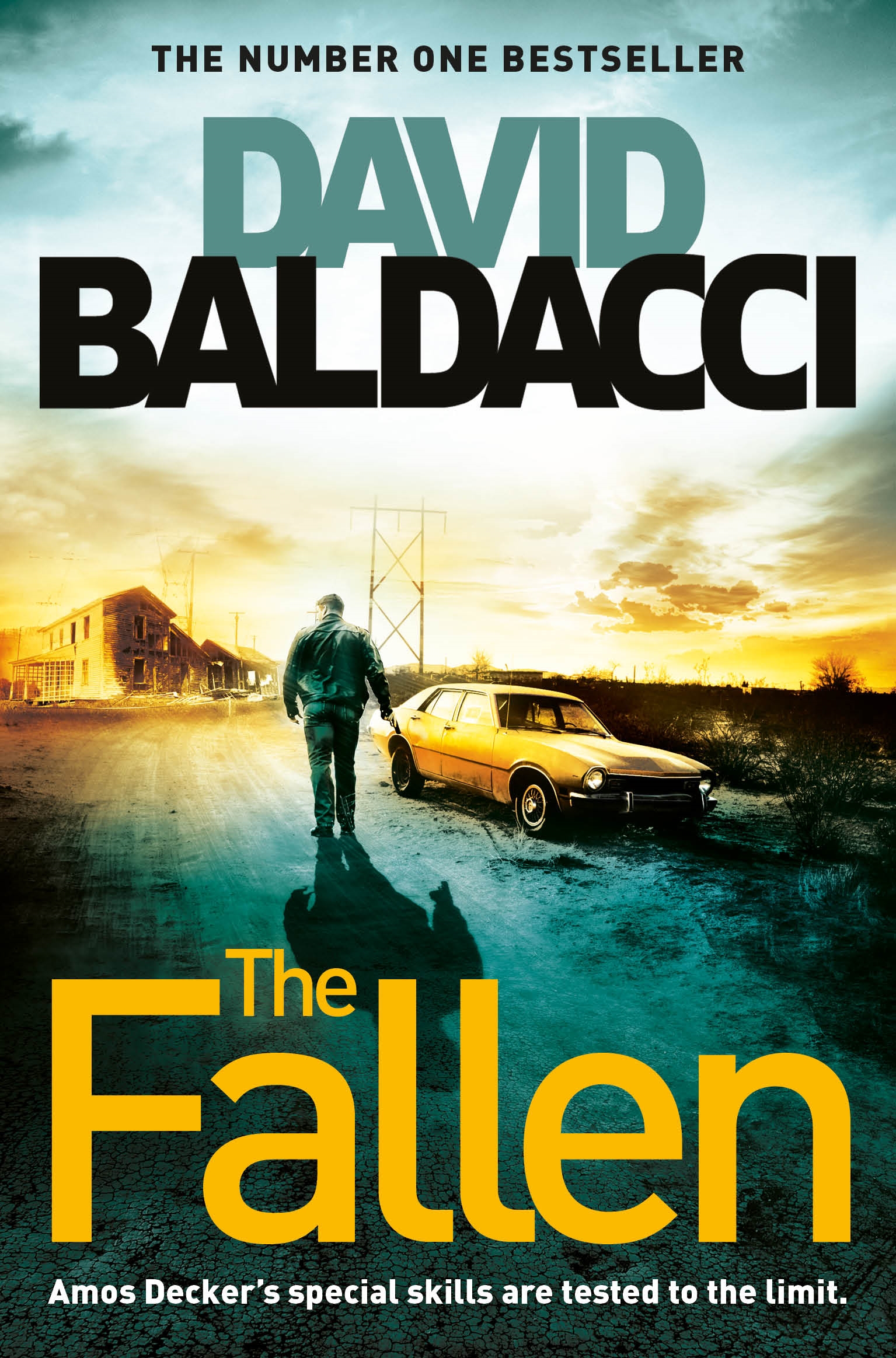 The FallenDavid Baldacci